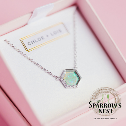 Sparrow's Nest Stardust Necklace