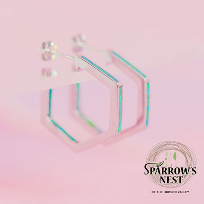 Sparrow's Nest Stardust Hoops