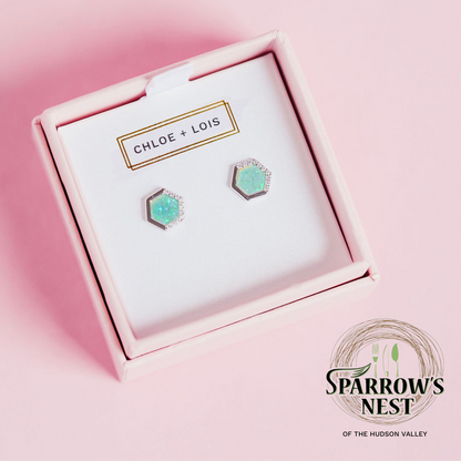 Sparrow's Nest Stardust Stud Earrings