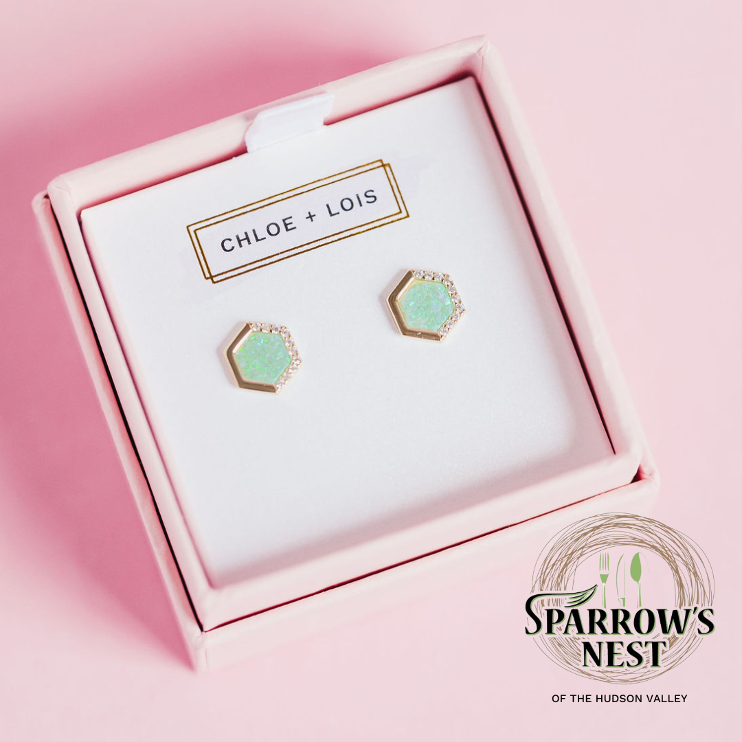 Sparrow's Nest Stardust Stud Earrings